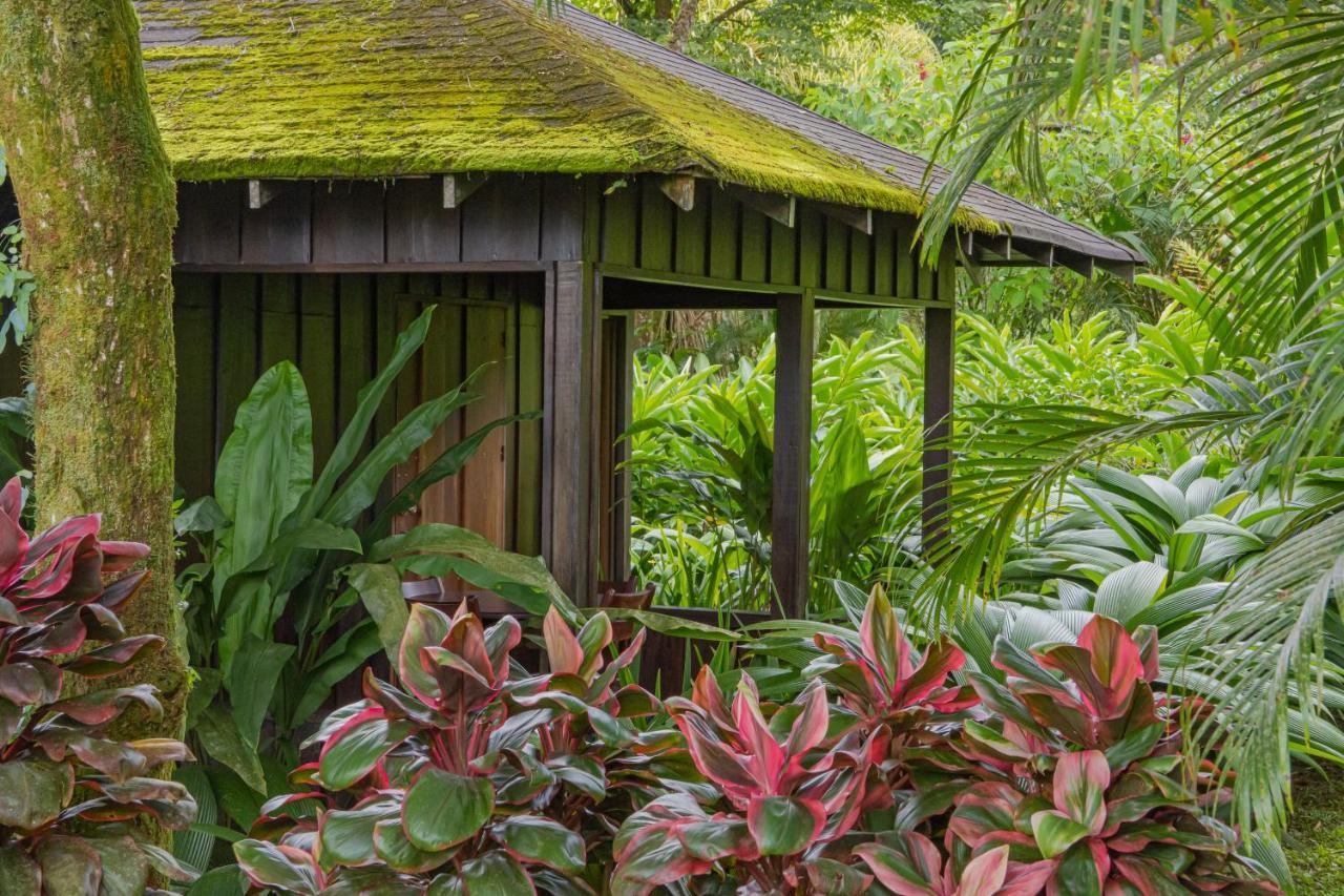 Hotel Lomas Del Volcan La Fortuna Ngoại thất bức ảnh
