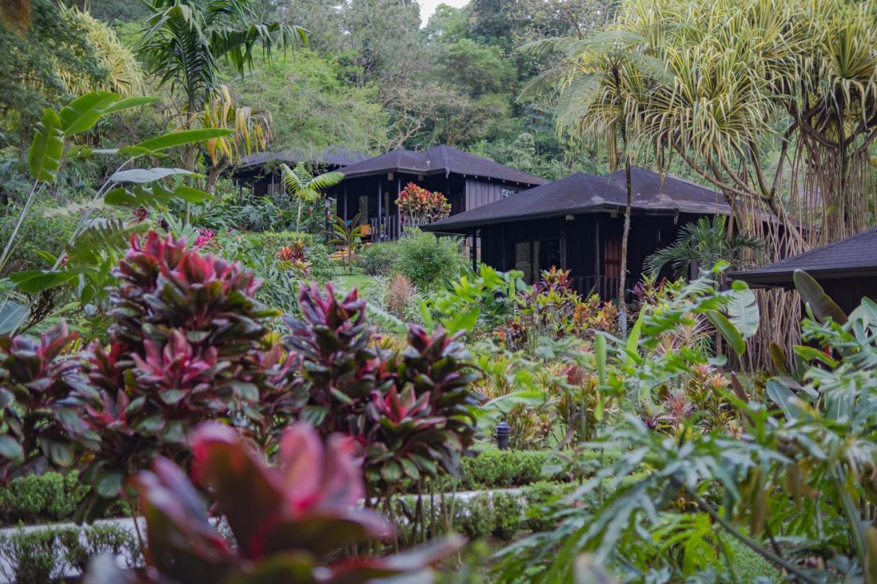 Hotel Lomas Del Volcan La Fortuna Ngoại thất bức ảnh